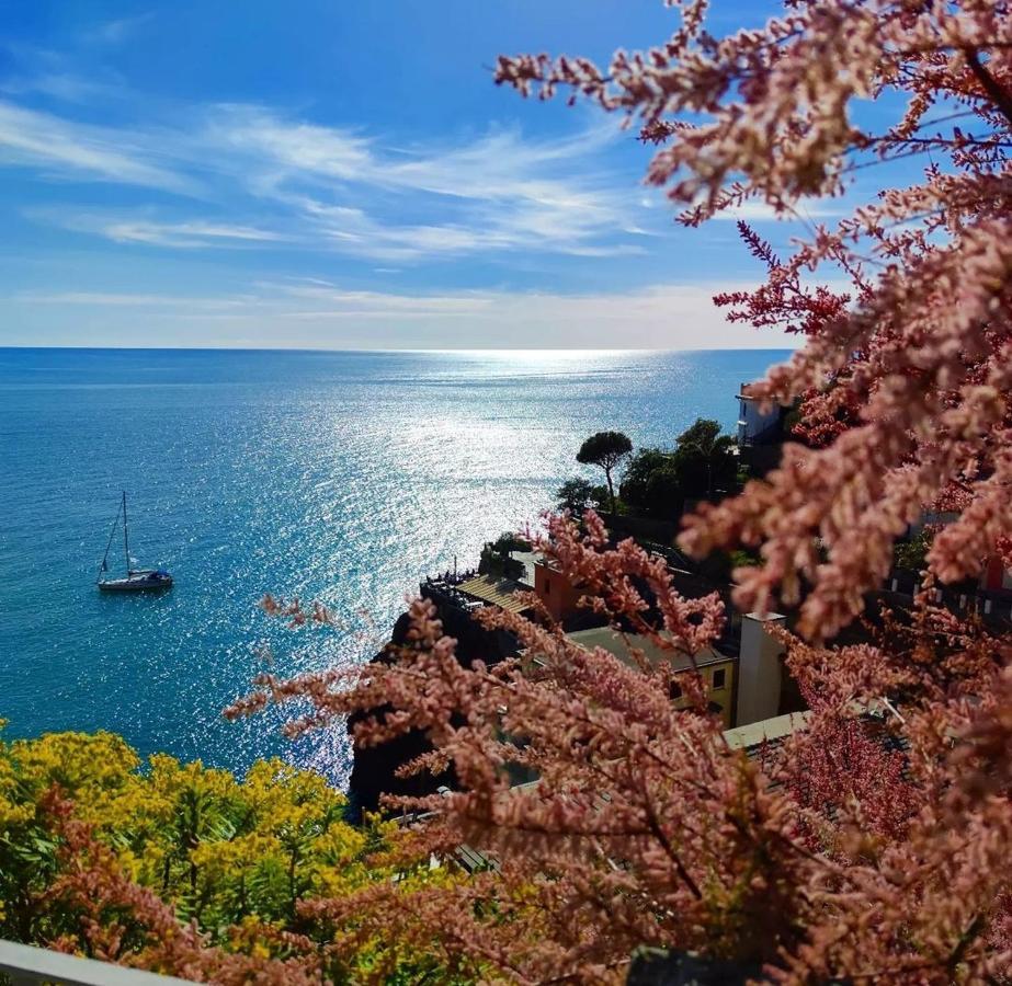 Maison Exotique - Riomaggiore / Cinque Terre / Beach Travel Zewnętrze zdjęcie
